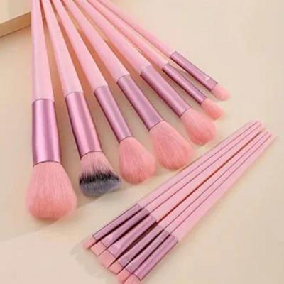 13 Pcs Pink Makeup Brush Set with Beauty Blender - Perfect Accessory